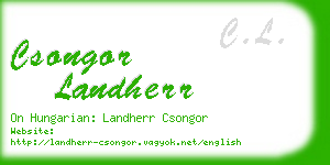 csongor landherr business card